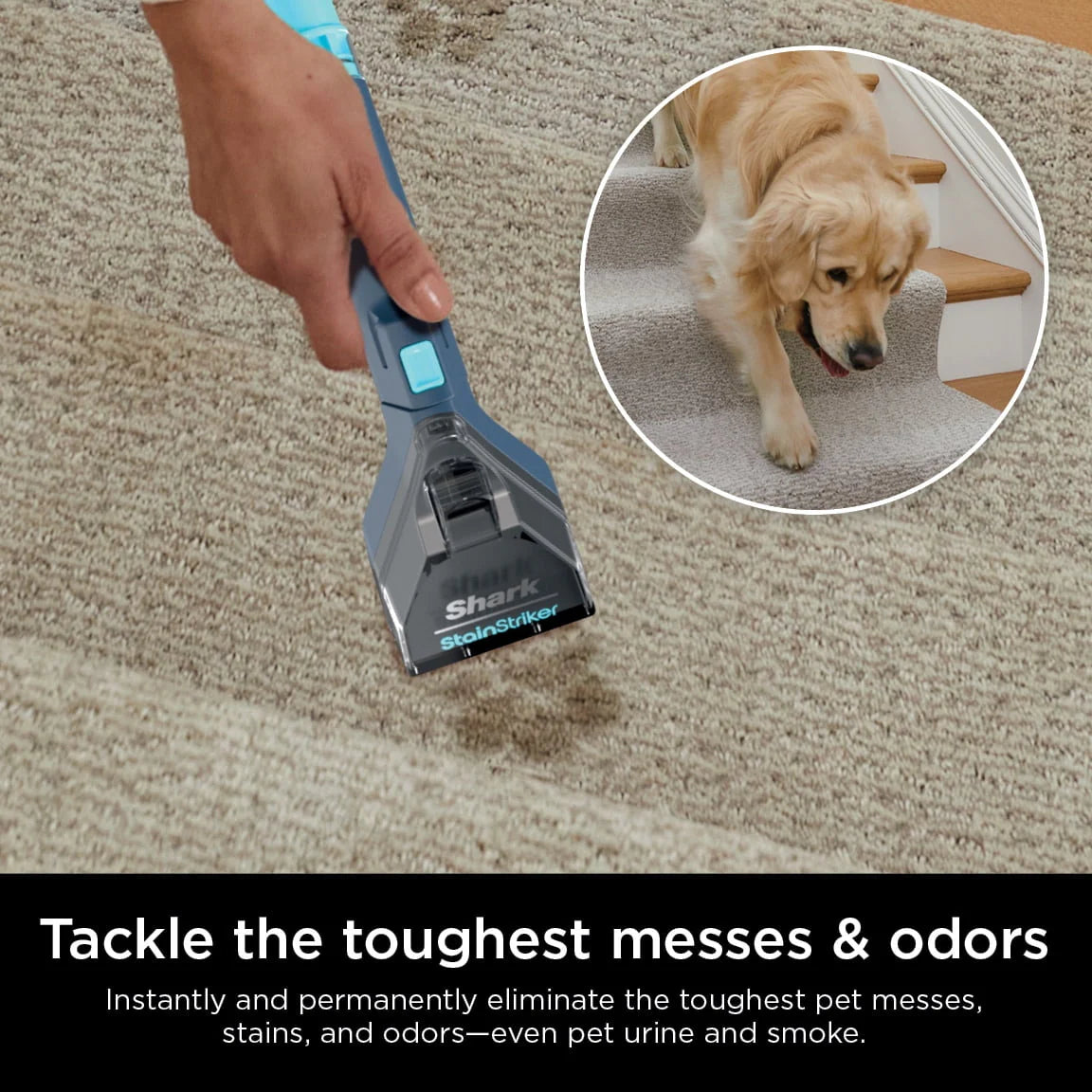 Portable Carpet & Upholstery Cleaner Z8841