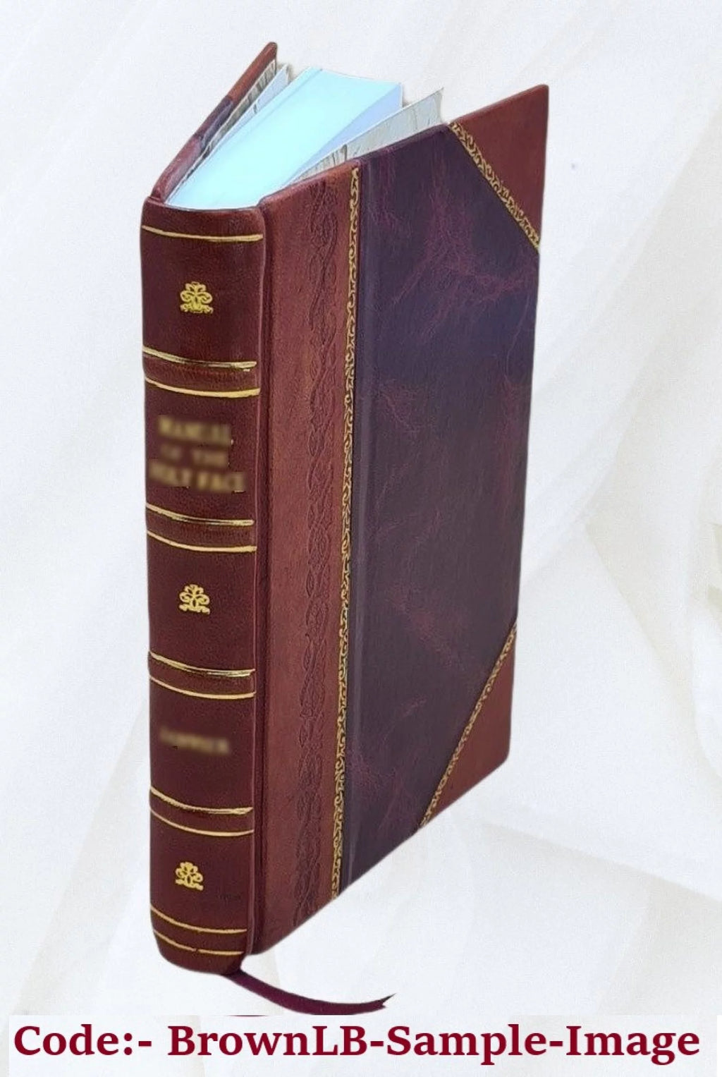 Leather Bound Encyclopedia I6941