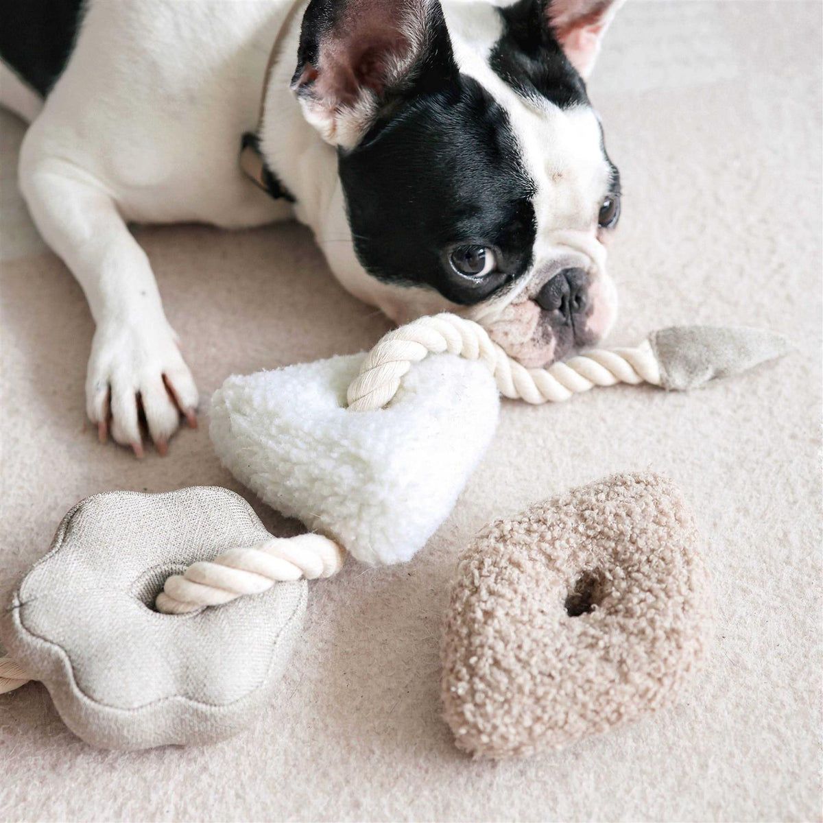 Enrichment Dog Toy U855