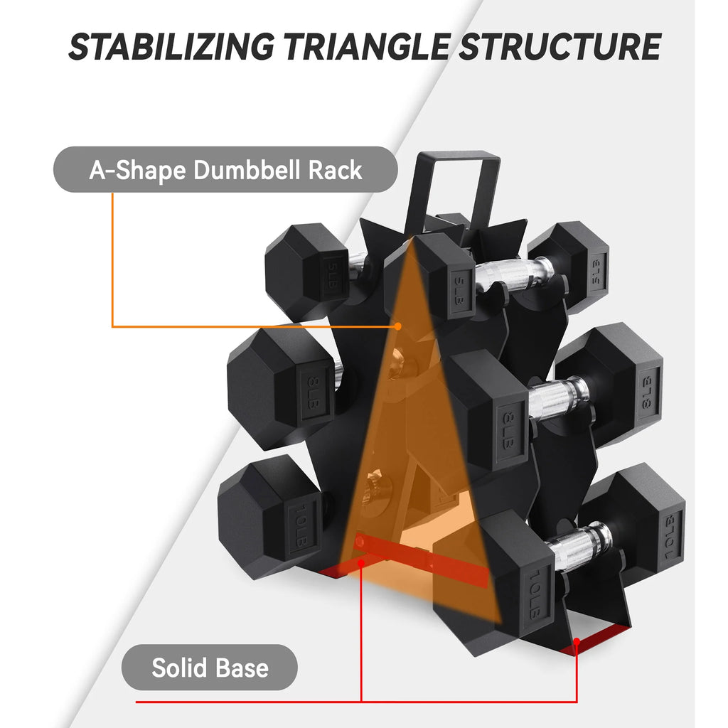 5, 8, and 10 Pound Dumbbell Pairs with Metal Rack D115889