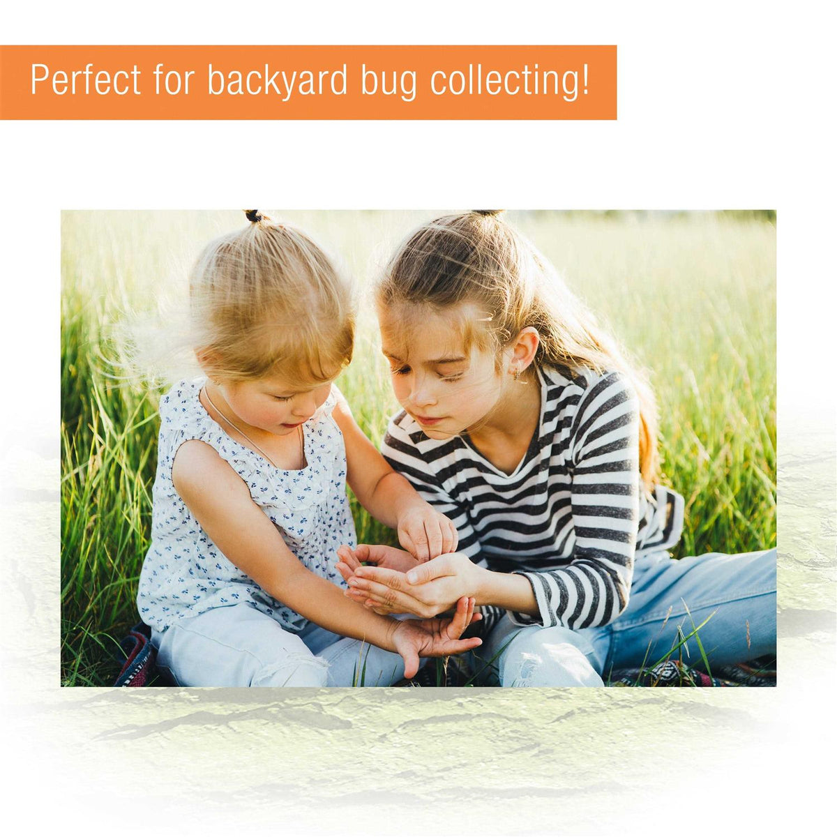 Micro Habitat Terrestrial Q4662