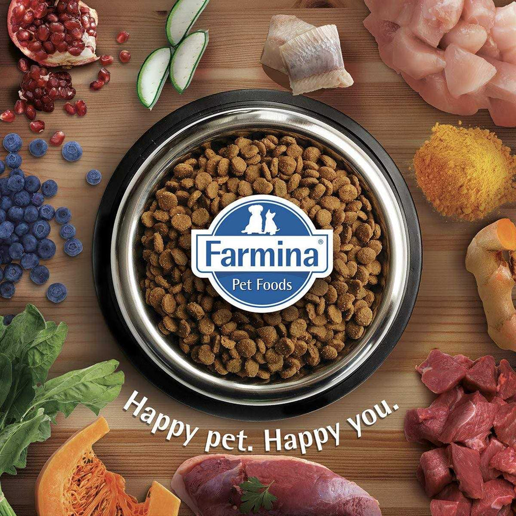 Chicken & Pomegranate Dry Dog Food I790492