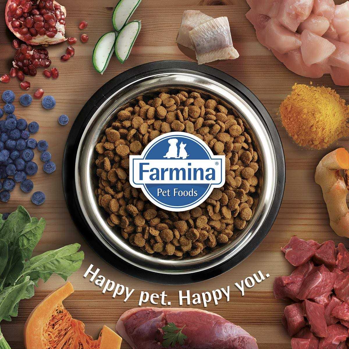 Chicken & Pomegranate Dry Dog Food I790492
