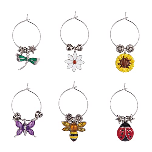 Multicolor Set of 6 Wine Charms D9766