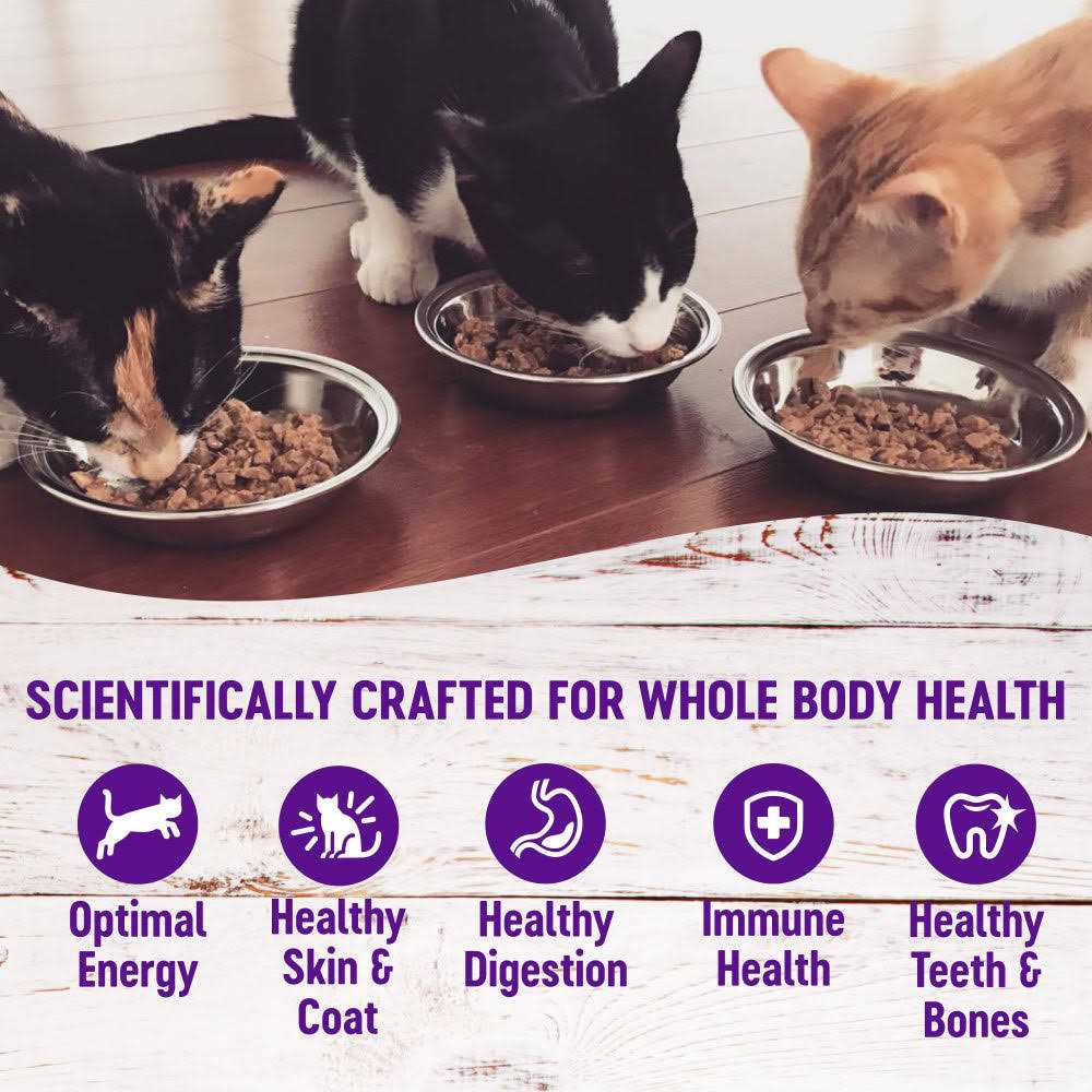 Grain Free Wet Cat Food R140267