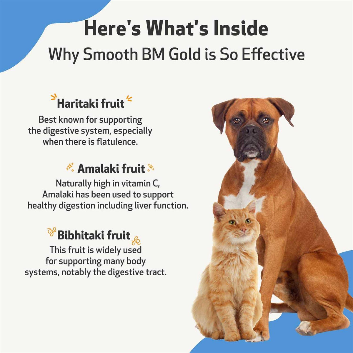 Smooth BM Gold Pet Supplies M3575
