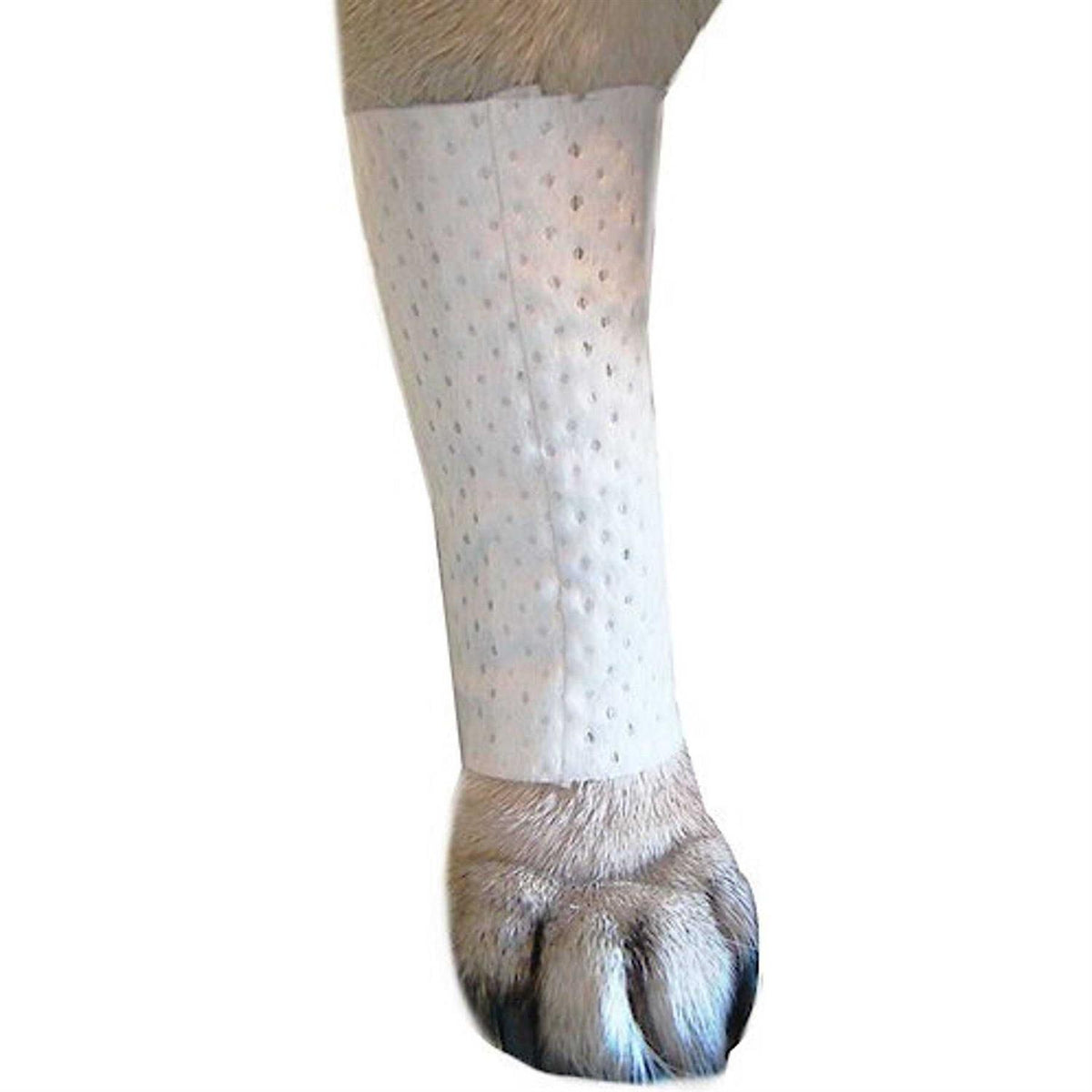 Pet Bandages Protective Covers H37065