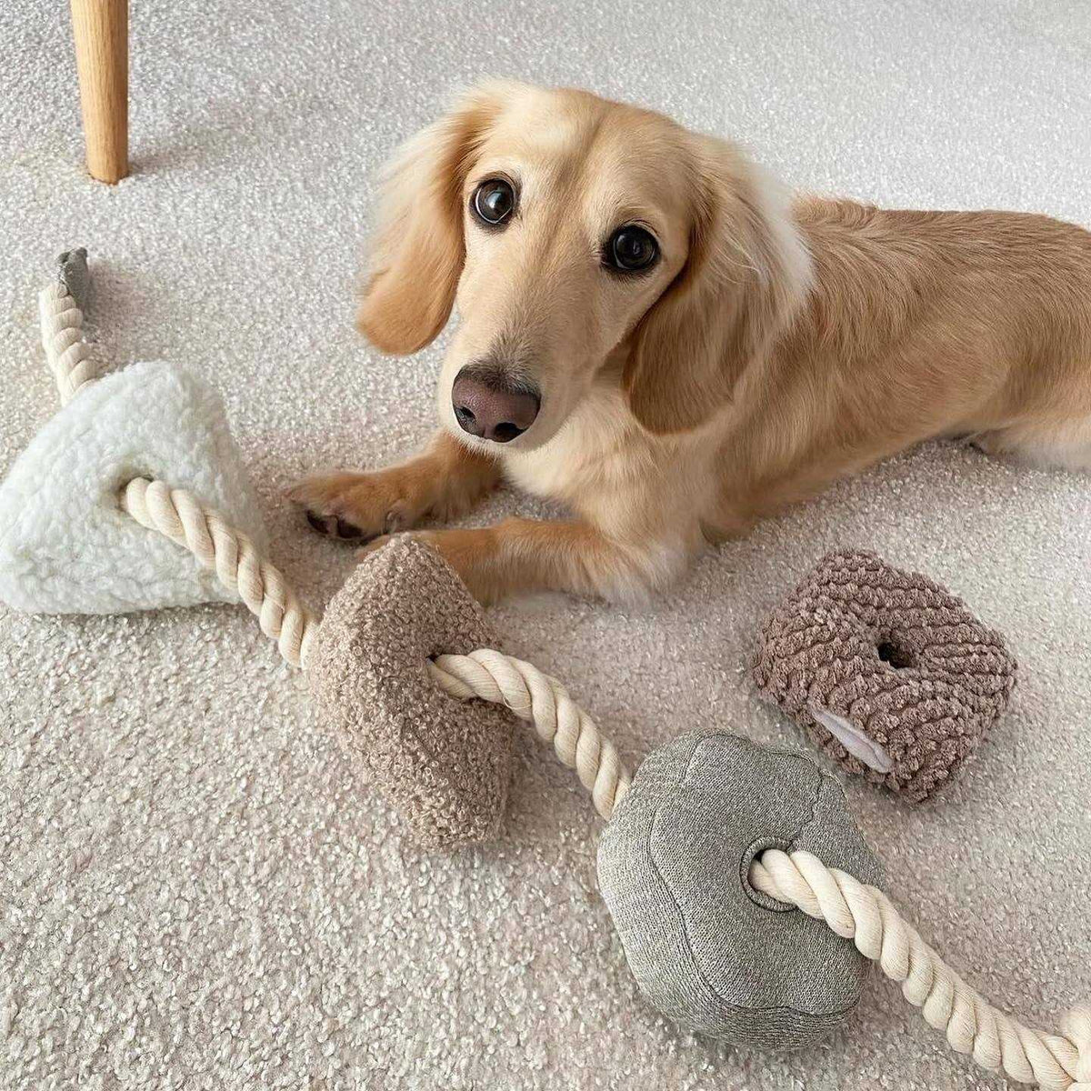 Enrichment Dog Toy U855