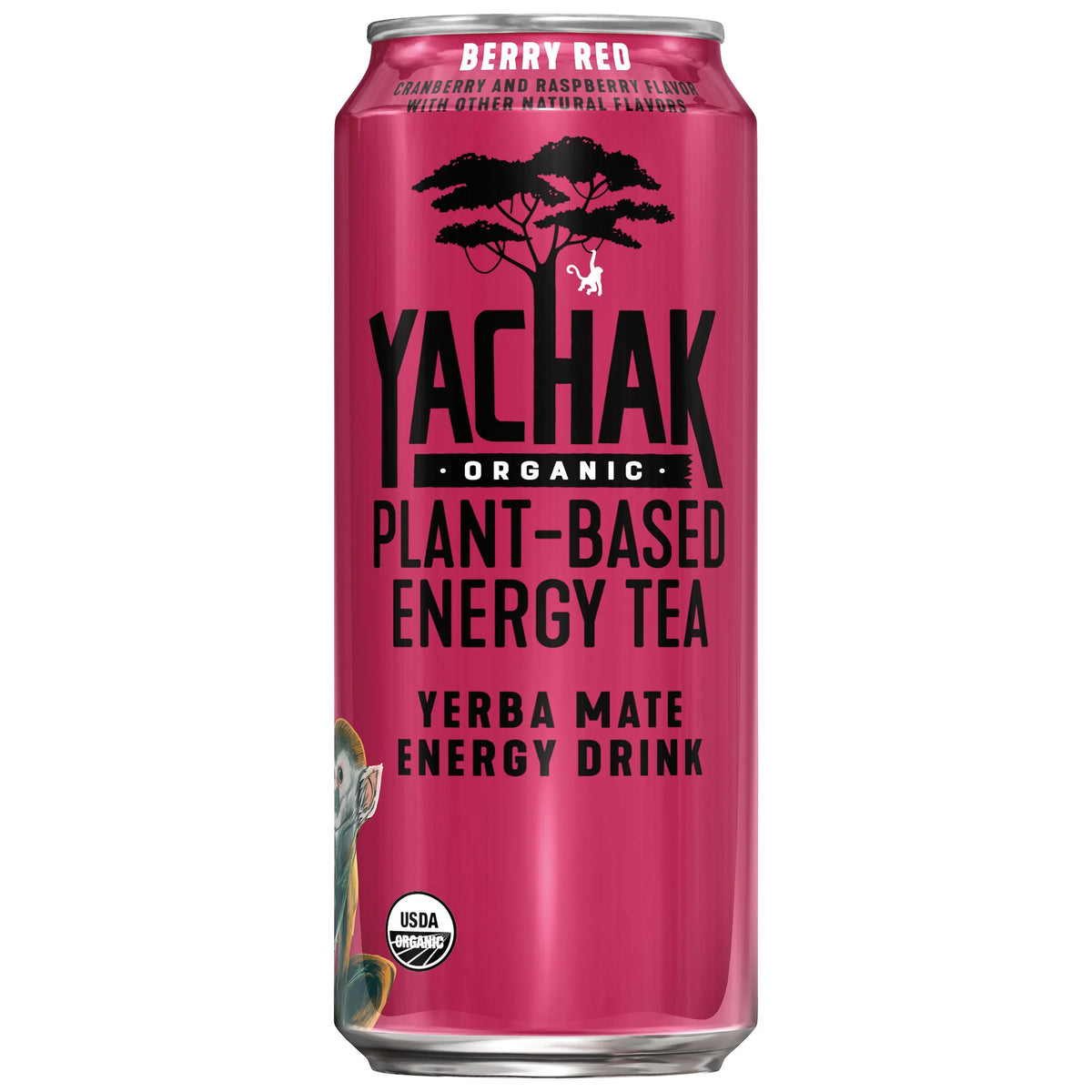 Yerba Mate Drink 16 fl oz 12 Pack Cans C971978