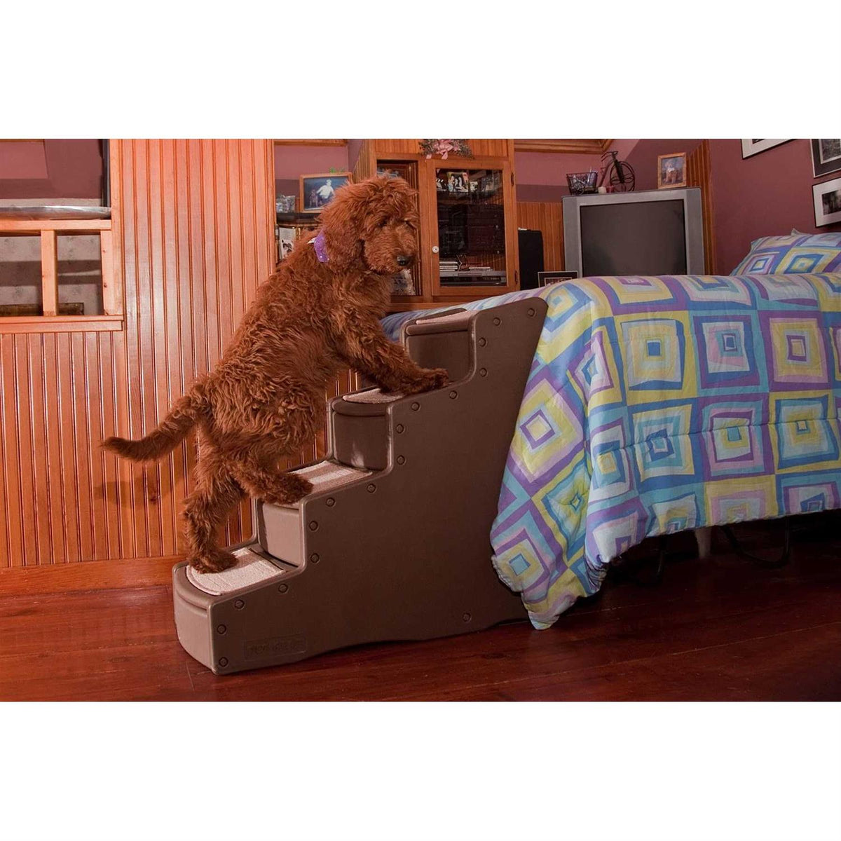 Pet Gear Easy Step IV A6336