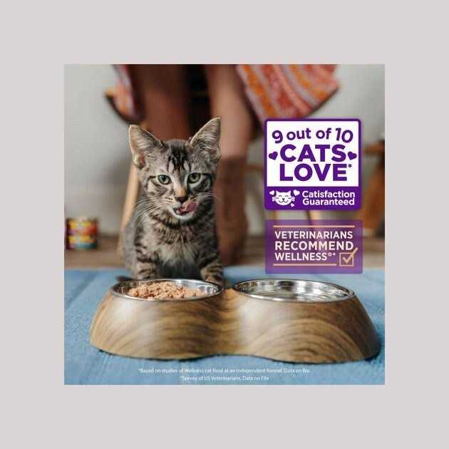 Grain Free Wet Cat Food R140267
