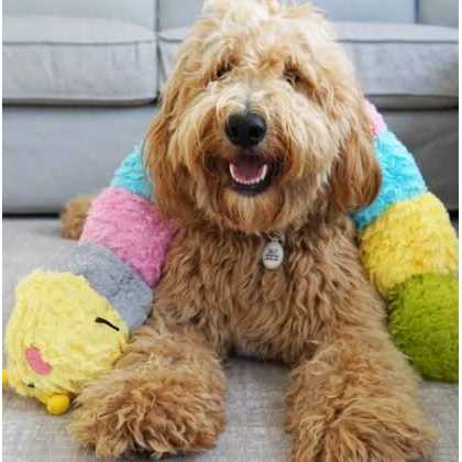 Pastel Caterpillar Pet Supplies J852041