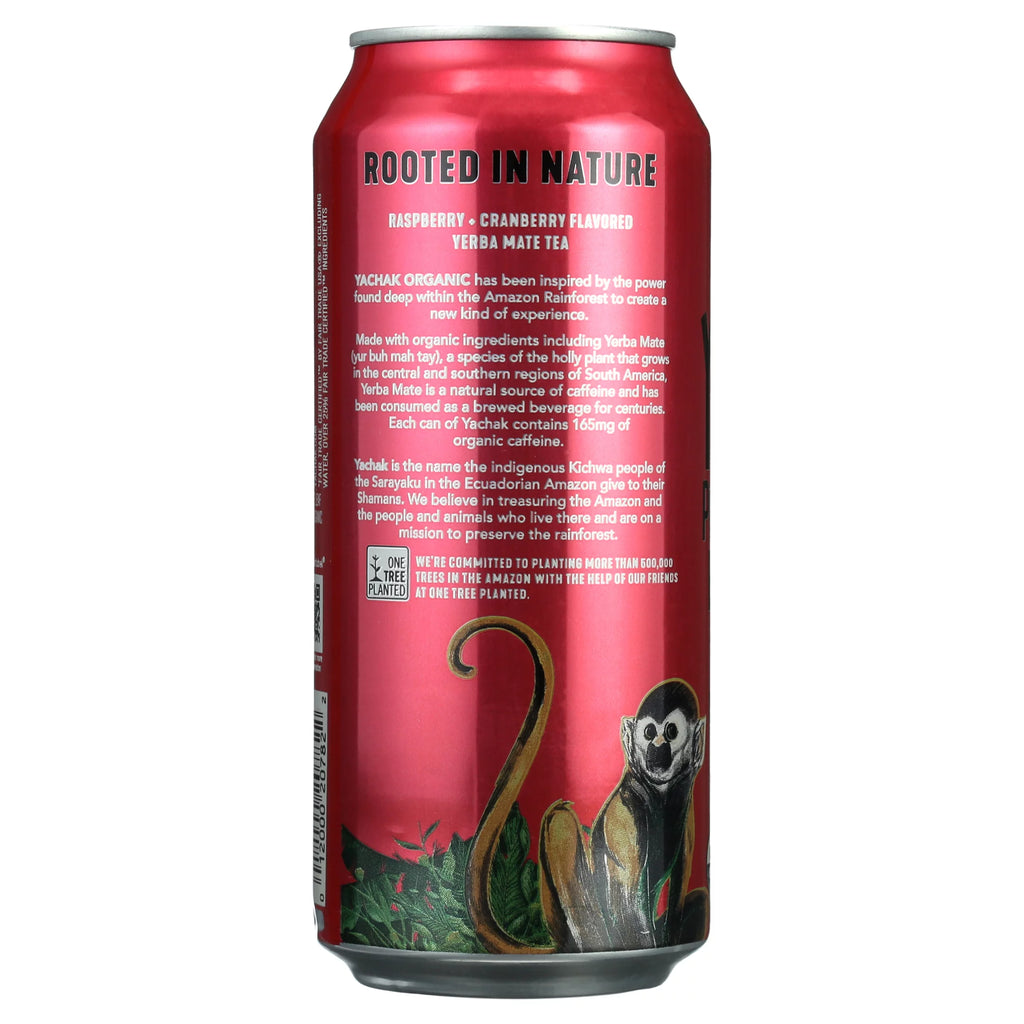 Yerba Mate Drink 16 fl oz 12 Pack Cans C971978