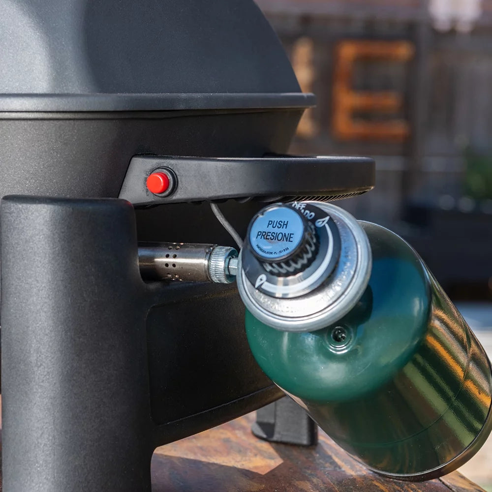 1 Burner Cast Aluminum Tabletop Propane Gas Grill Black F3669
