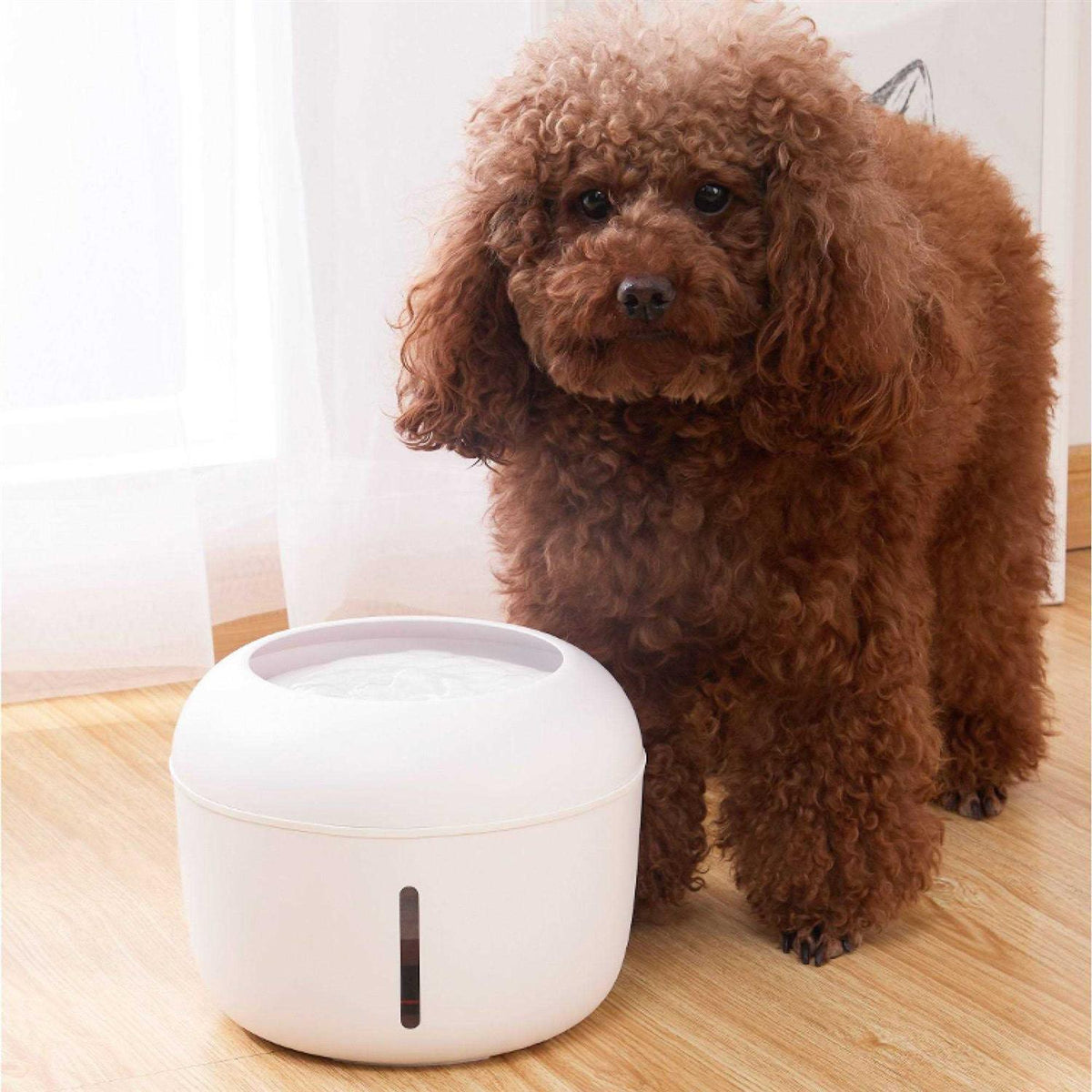 Filtered Dog and Cat Fountain Waterer S3532