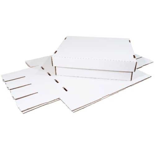 2-Pack Trading Card Storage Box G70896