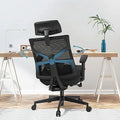 Ergonomic Mesh Office Chair with Lumbar Support W39612