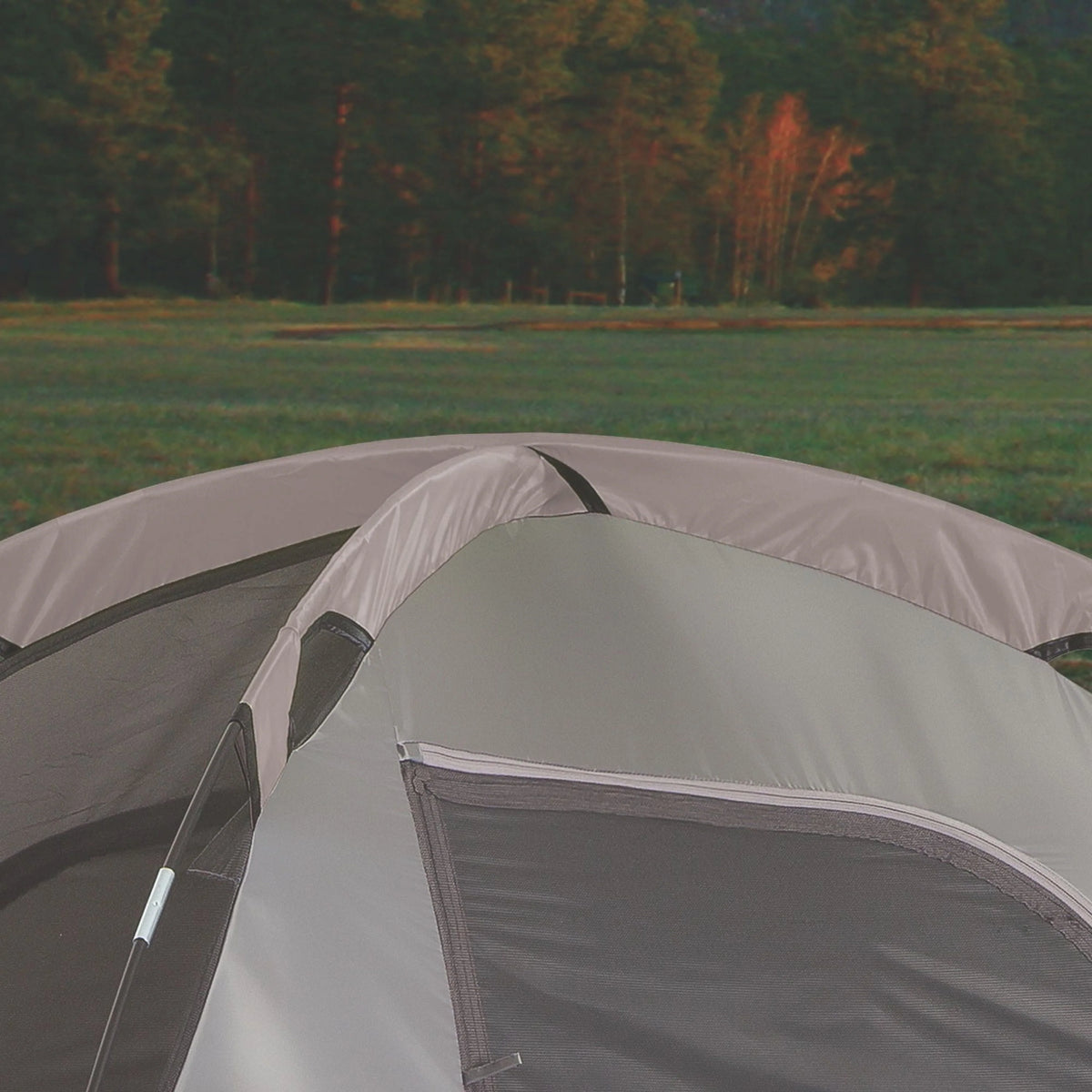 10 Person Tent with Room Divider F867