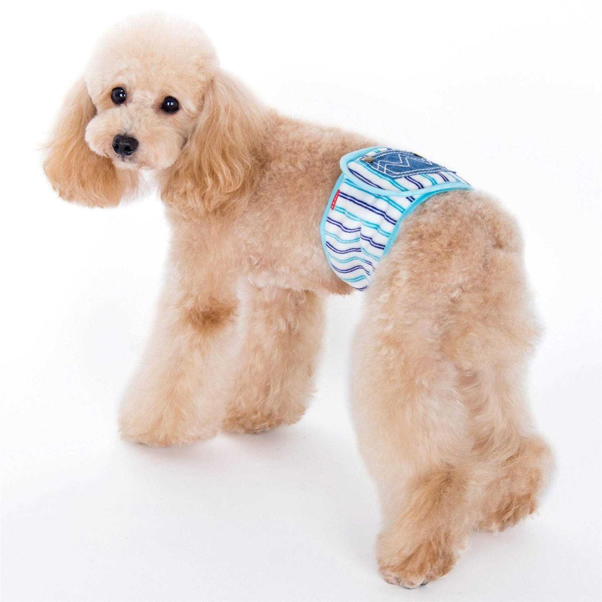 Pet Belly Band P73613