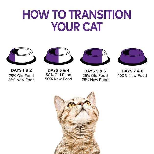Grain Free Wet Cat Food R140267