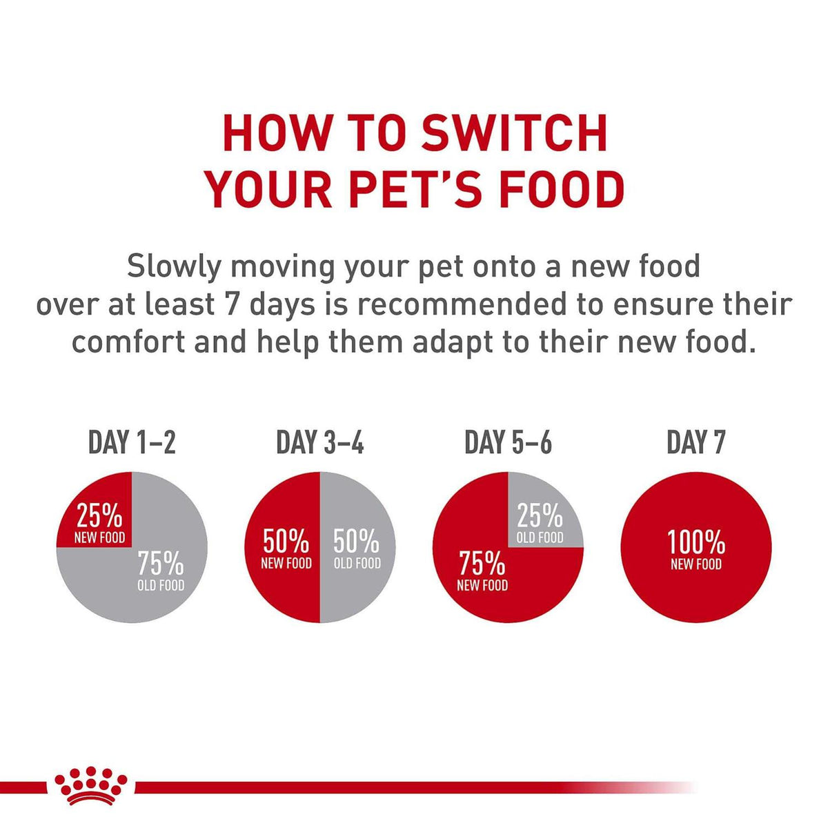 Adult Dry Dog Food C599691